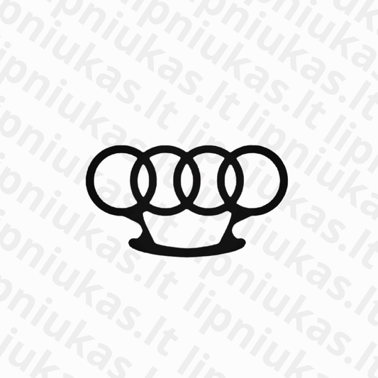 Lipdukas "AUDI kastetas"